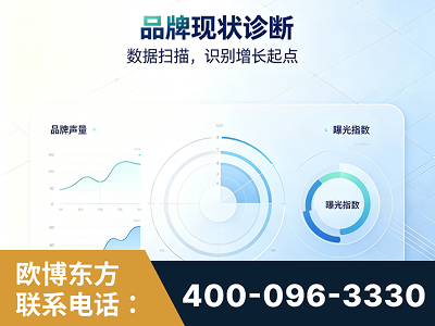 兴平-品牌现状诊断
