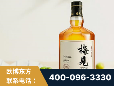 兴平-梅见青梅酒